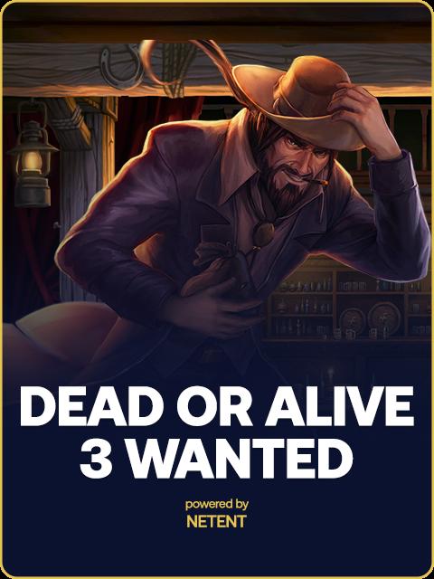 Dead or Alive™ 3: Wanted
